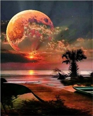 Red Full Moon Night Landscape Paint By Numbers