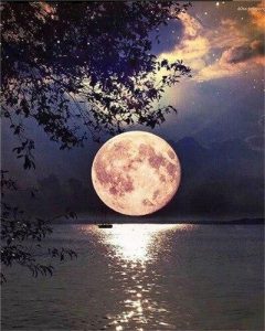 Beautiful Full Moon on Lake Landscape Paint By Numbers