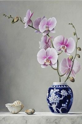 Magnolias Flowers  Flowers Paint By Numbers