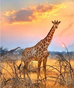 Giraffe With Sunrise paint by numbers