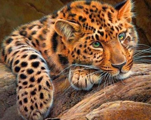 Green Eyes Cheetah paint by numbers