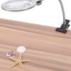 Lighted Magnifying Glass Objects