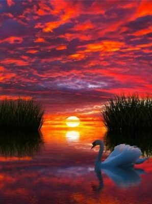 Sunset Reflection on Lake Landscape Paint By Numbers