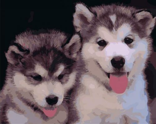 Puppies Of Husky paint by numbers