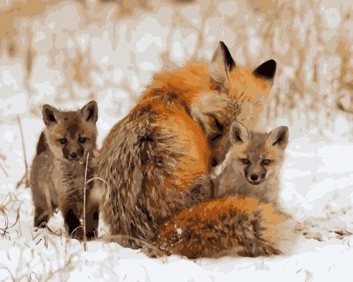 Red Fox on Snow paint by numbers