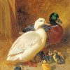Mallard Ducks NEW Paint By Numbers