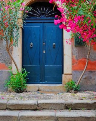 Blue Door And Pink Flowers Paint by numbers