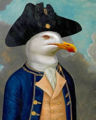 Captain Seagull Paint by numbers