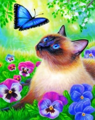 Cat And Blue Butterfly Paint by numbers