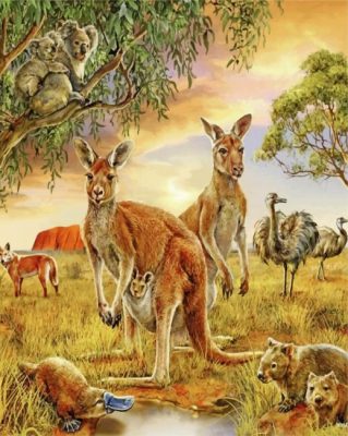 Wild Kangaroos And Animals paint by numbers