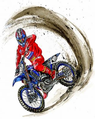 Motorcycle Driver Art Paint by numbers