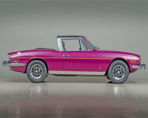 purple-triumph-stag-paint-by-numbers