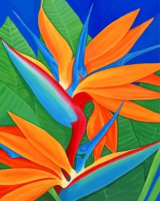 Bird Of Paradise Plant Paint by numbers