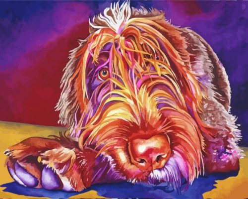 Wirehaired Pointing Griffon Paint by numbers