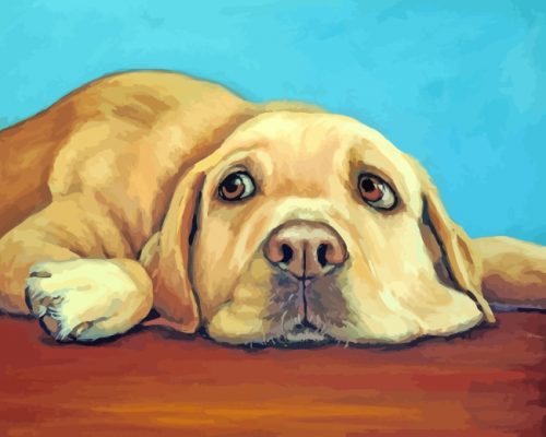 Labrador Retriever paint by numbers