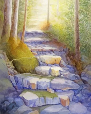 Forest Stone Steps Paint By Number