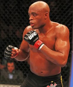 The Boxer Anderson Silva Paint By Numbers