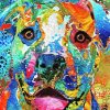Colorful Abstract Pitbull Dog Paint By Number