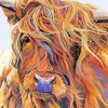 Abstract Highland Cow Art Paint By Number