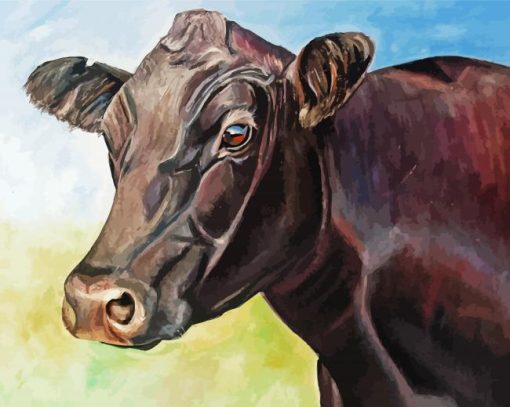 Aesthetic Aberdeen Angus Paint By Number