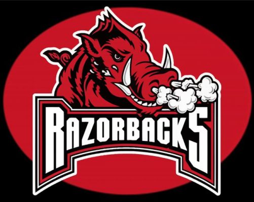 Aesthetic Arkansas Razorbacks Paint By Number