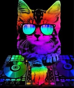 Aesthetic Cat Dj Paint By Number