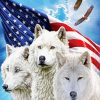 American Flag Wolves And Eagles Paint By Number