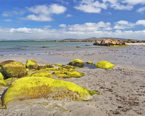 Arranmore Beach Paint By Number