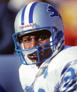 Barry Sanders Paint By Number