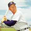 Baseball Player Al Kaline Paint By Number