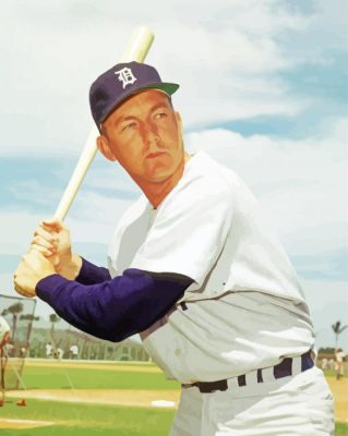 Baseball Player Al Kaline Paint By Number