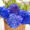 Basket With Hydrangeas Paint By Number