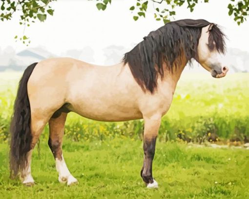 Beige Welsh Pony With Black Hair Paint By Number