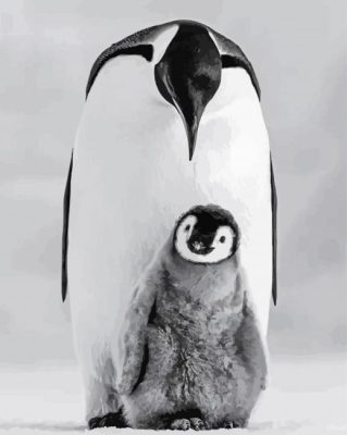 Black And White Penguins Photography Paint By Number