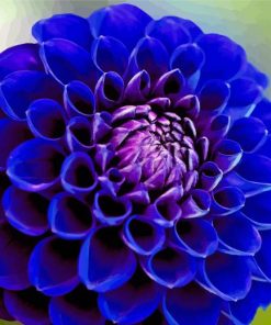 Blue Dahlia Paint By Number
