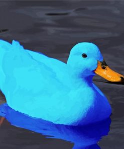 Blue Duck Paint By Number