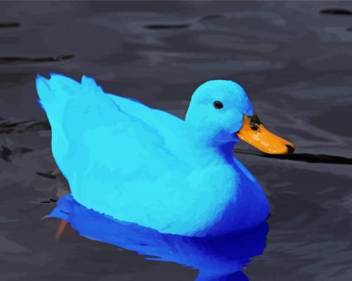 Blue Duck Paint By Number