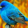 Blue Indigo Bunting Bird Paint By Number