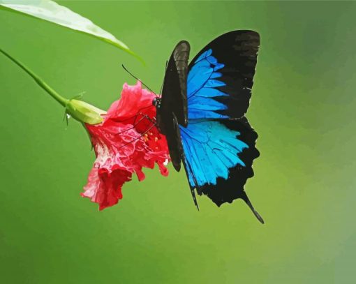 Blue Ulysses Butterfly Paint By Number
