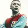 Bobby Moore Art Paint By Number