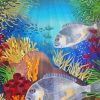 Bream Fish Underwater Paint By Number