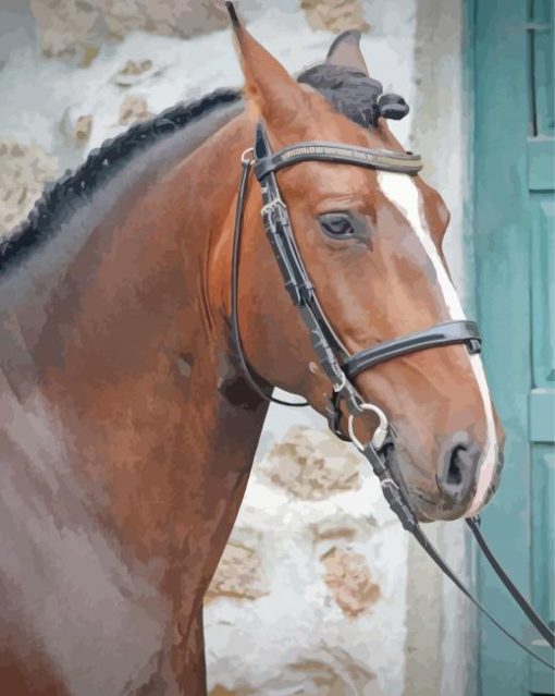 Brown Lusitano Horse Head Paint By Number