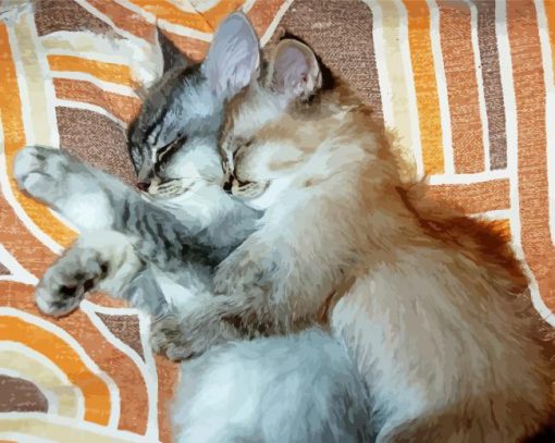 Cat And Kitten Snuggling Paint By Number