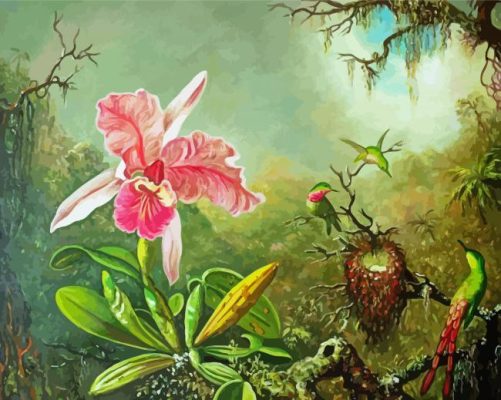 Cattleya Orchid And Three Hummingbirds By Martin Johnson Heade Paint By Number