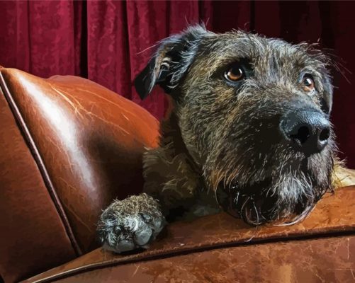 Close Up Irish Wolfhound Paint By Number