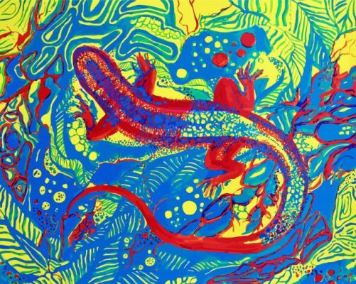 Colorful Abstract Lizard Paint By Number