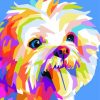 Colorful Maltese Pop Art Paint By Number
