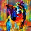 Colorful Border Collie Dog Art Paint By Number