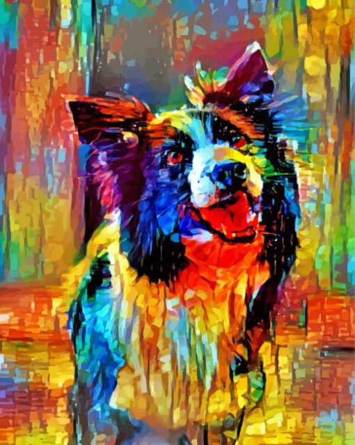 Colorful Border Collie Dog Art Paint By Number