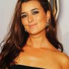 Cote De Pablo Paint By Number